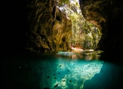 英雄联盟总决赛时间-体育幻境，辽宁队跨界鏖战尼克斯，塔图姆F1揭幕战上演速度统治