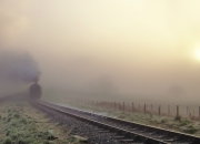 LOL赛事-双重奇迹日，当引擎轰鸣遇见绿茵逆转，三月十日诠释体育的无限可能
