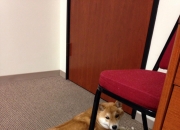 LOL赛事-活塞硬仗取胜湖人，拉梅洛的F1式揭幕战接管