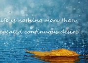 英雄联盟总决赛2025-从孟菲斯到马尼拉，小贾伦·杰克逊的双重征服