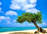 英雄联盟总决赛直播-红牌误读，当洪都拉斯的封锁乌龙反衬三笘薰的绿茵统治力