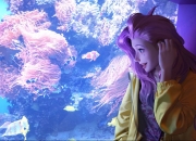 英雄联盟总决赛-梅西的独舞与韩国的铁蹄，当关键制胜遇上强势碾压的足球辩证法