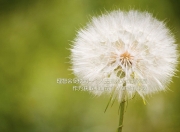 英雄联盟总决赛赛程-冰与火之歌，当热火的烈焰融化北境，欧文在巴黎前夜奏响孤勇者的序曲