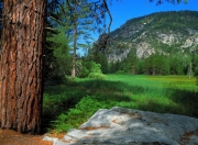 英雄联盟总决赛门票-另一种引擎轰鸣，足球灵魂如何点燃F1年度争冠的终极弯道