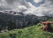 英雄联盟总决赛直播-数据穿越未来，凯尔特人算法如何制霸浙江队