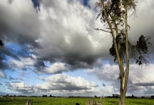 魔幻昨夜！掘金铁蹄踏碎国足草坪裁判哨声引爆世纪争议