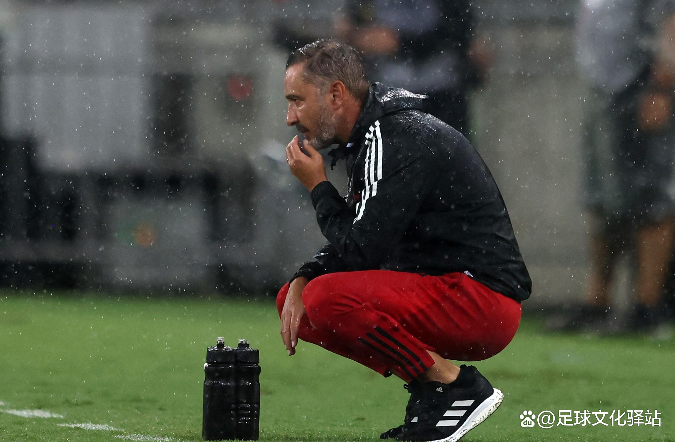 阿森纳青训崛起,助球队逐渐崭露头角的简单介绍 阿森纳青训崛起,助球队逐渐崭露头角的简单介绍