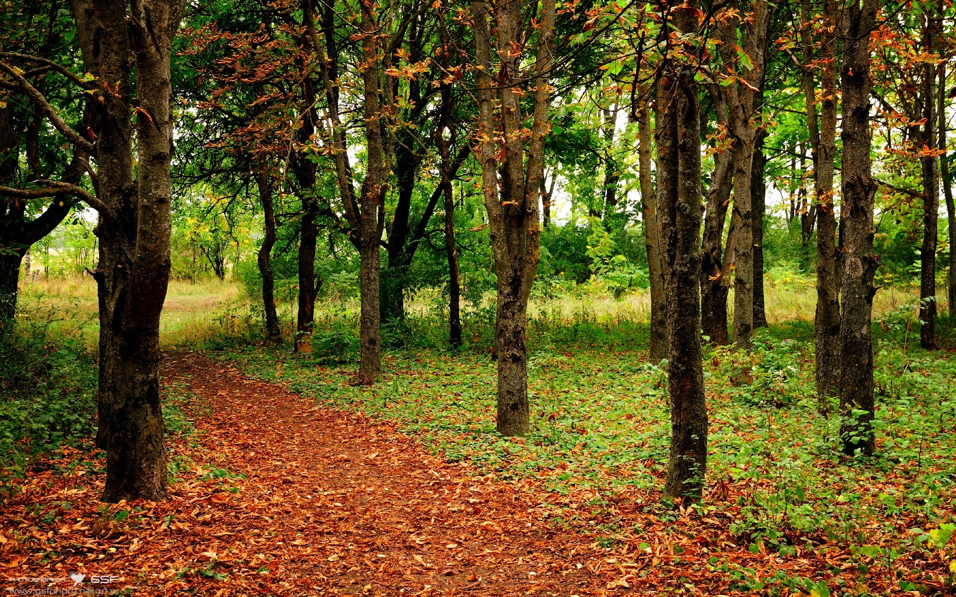罚失后的蜕变,梅西在美加墨世界杯之夜如何以平静完成终极证明