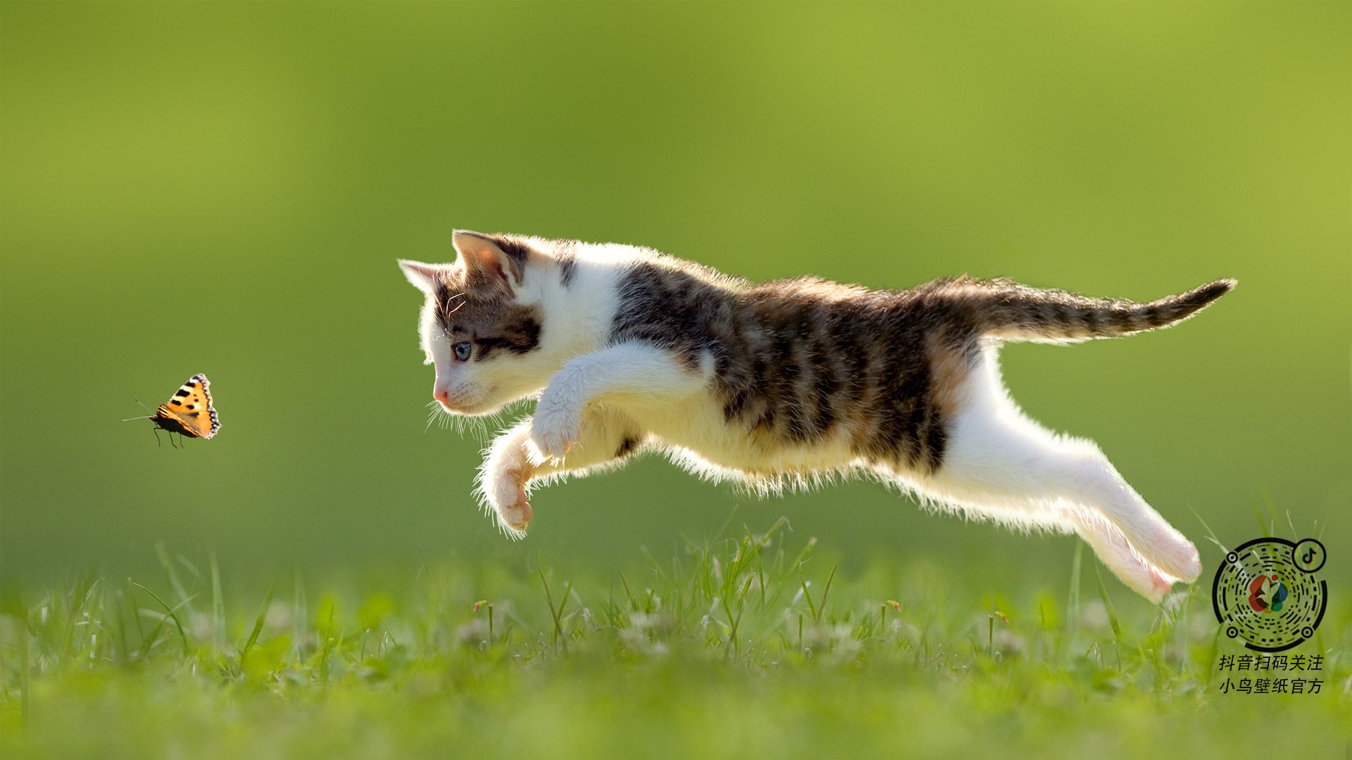 独战世界的孤胆，当乔治的心脏，成为波特兰唯一的枪声