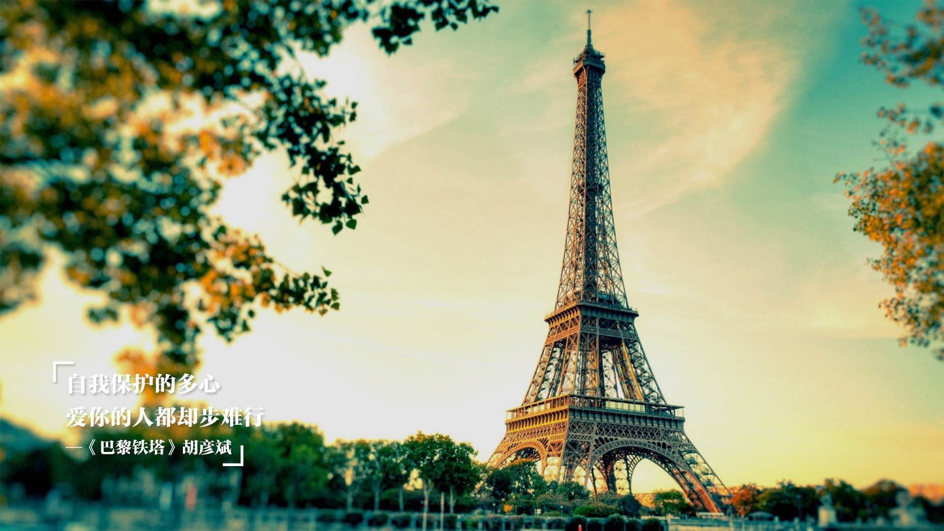 单节风暴!浙江队闪电拉开分差,武切维奇关键时刻定乾坤