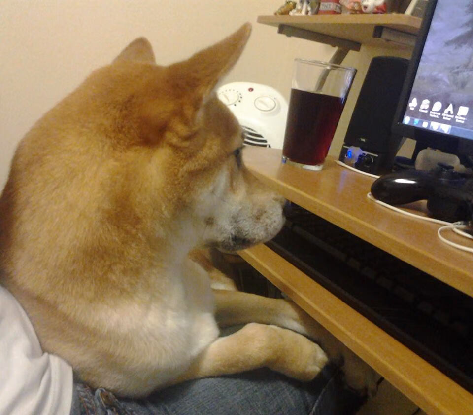 从韩国终结到巴尔韦德之火,一场战术变革与意志传承的足球叙事