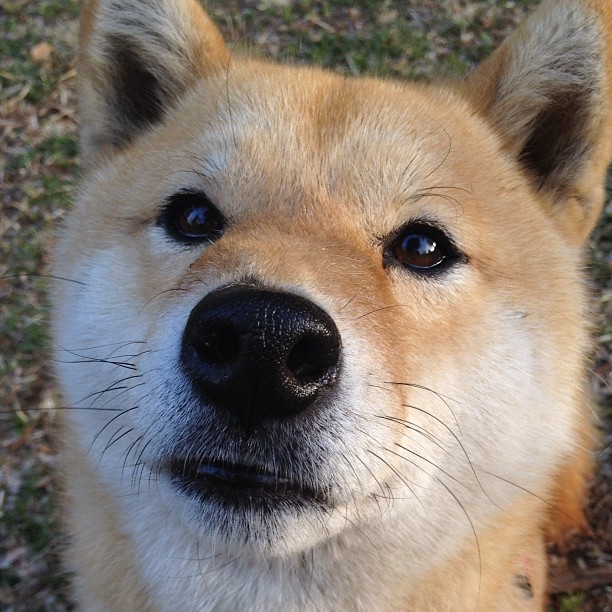 猎豹苏醒时，街道暗夜里，托尼的决绝单圈