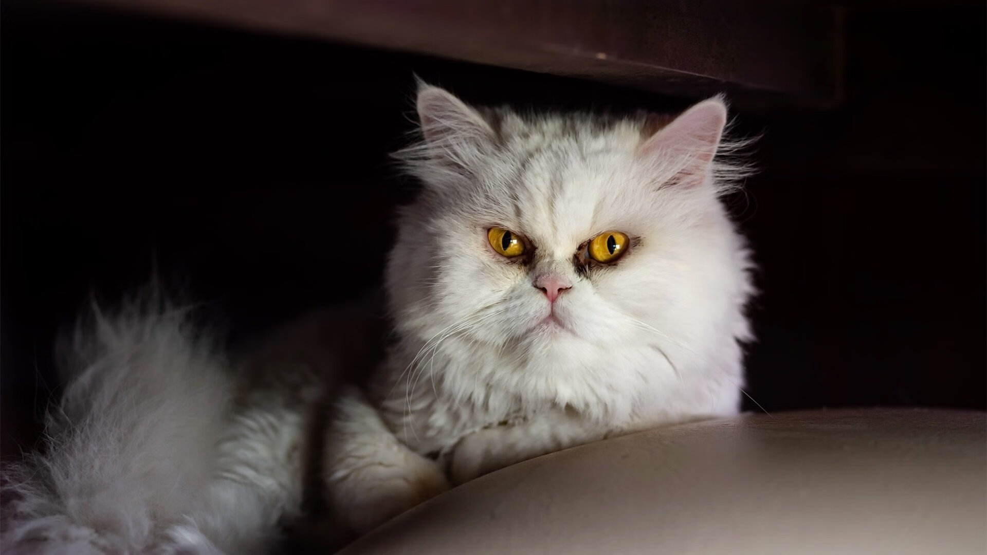 个人英雄与整体铁壁,奥斯梅恩的爆发,为何不敌莱比锡的机器革命?