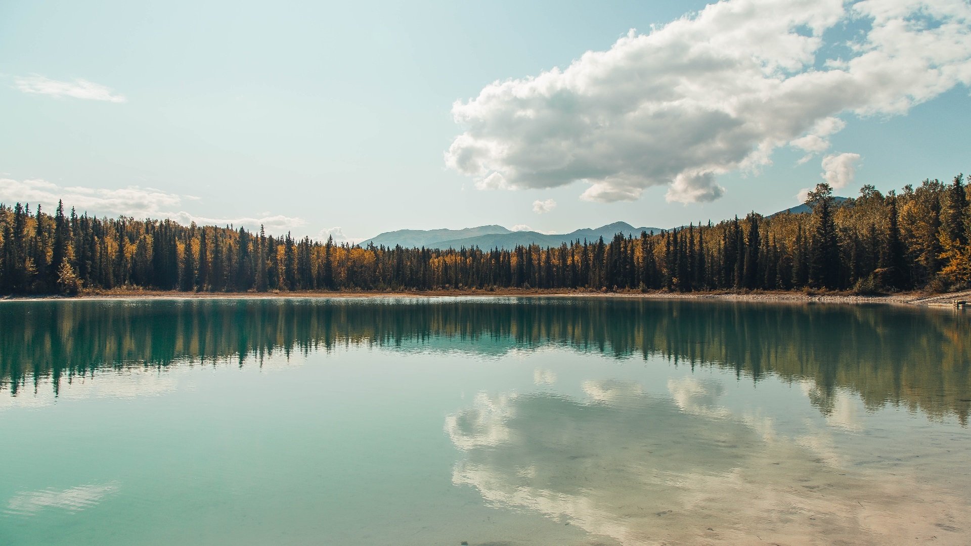 关键先生!贝恩独揽攻防命脉,掘金客场撕破国王铁壁