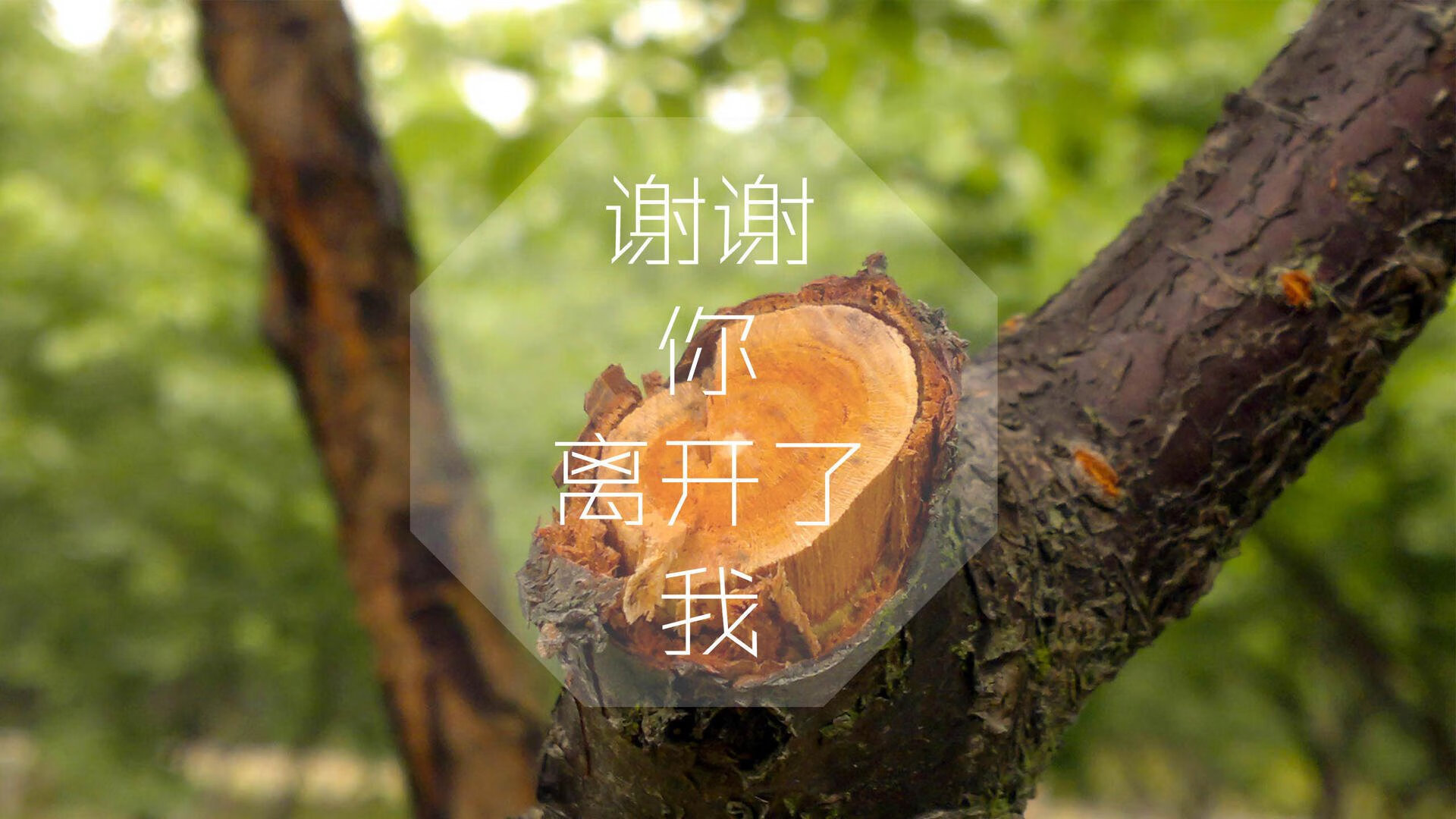 多重方案,择一最优)